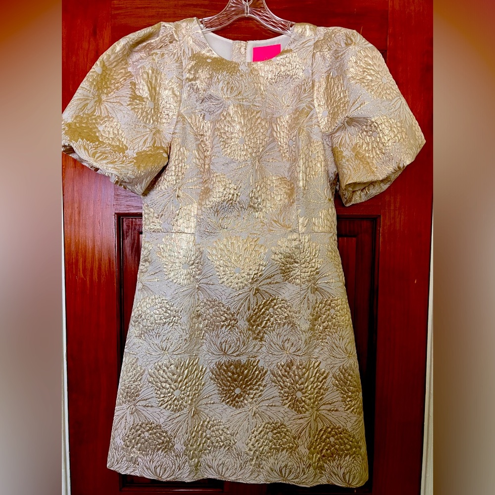 Lilly Pulitzer Ailani Dress - NWT